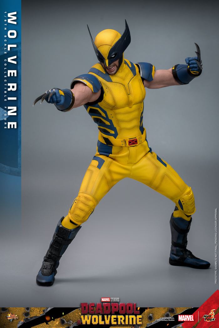 Wolverine 1/6
