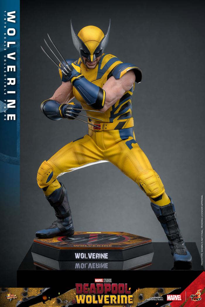 Wolverine 1/6