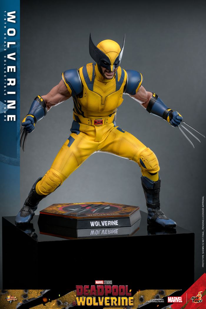 Wolverine 1/6