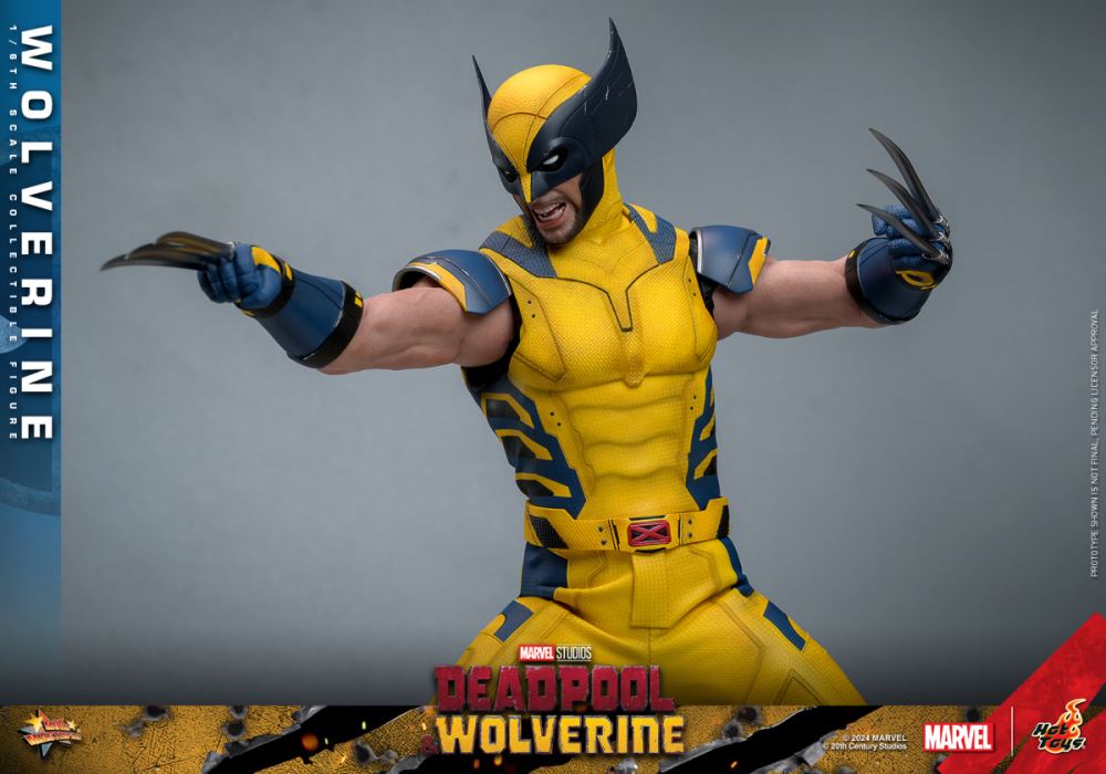 Wolverine 1/6