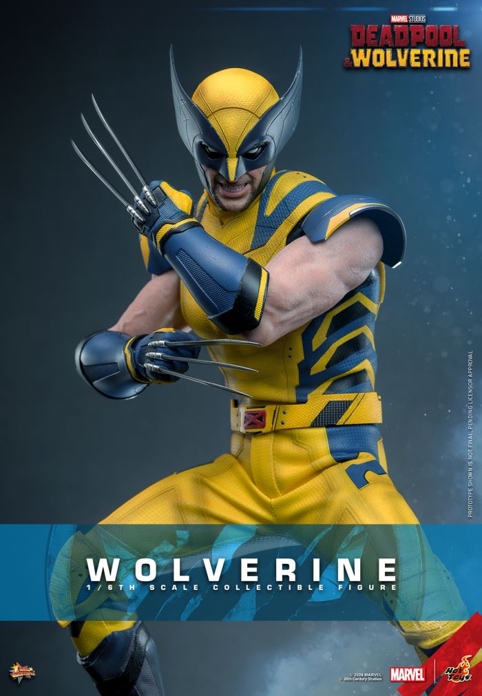Wolverine 1/6