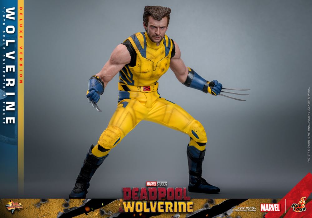 Wolverine 1/6