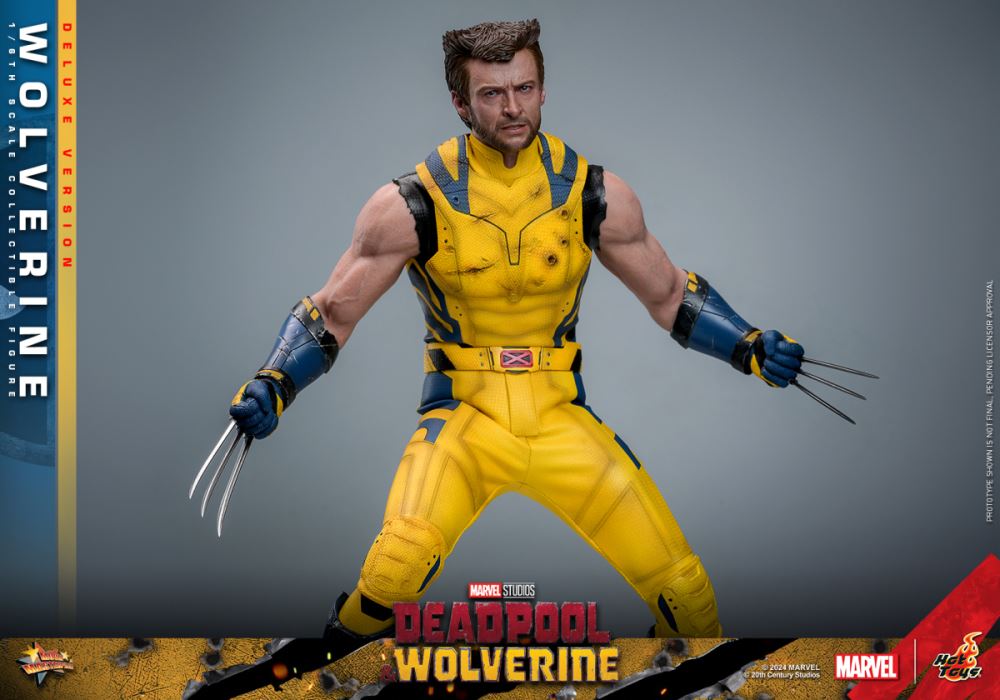 Wolverine 1/6
