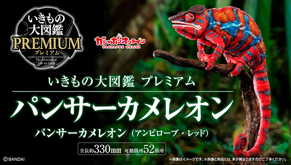 Living Creatures Encyclopedia Premium Panther Chameleon (Ambirove Red)