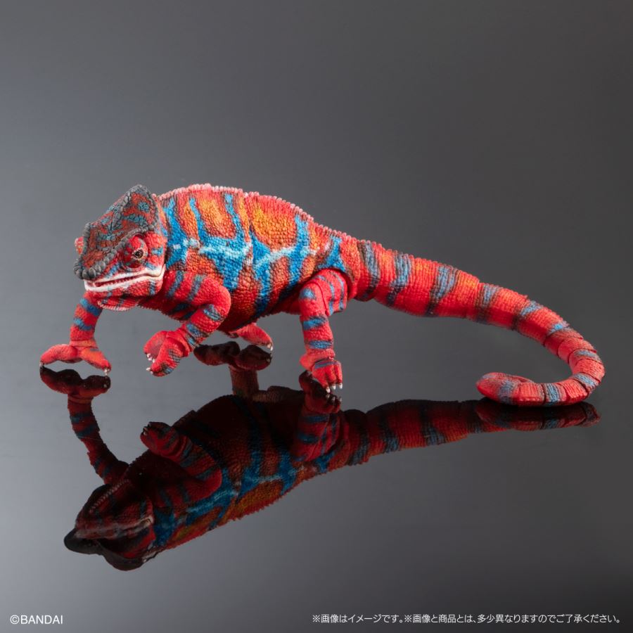Living Creatures Encyclopedia Premium Panther Chameleon (Ambirove Red)
