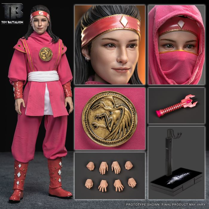 Pink Ninja 1/6