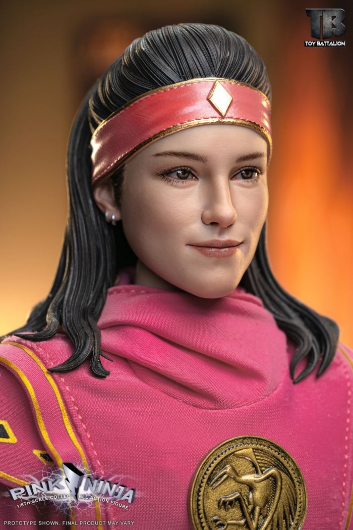 Pink Ninja 1/6