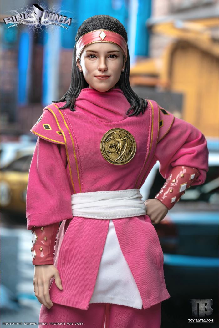 Pink Ninja 1/6