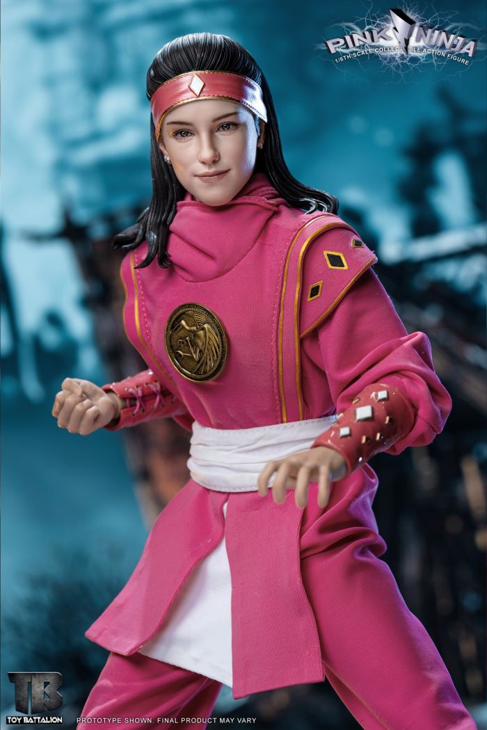 Pink Ninja 1/6