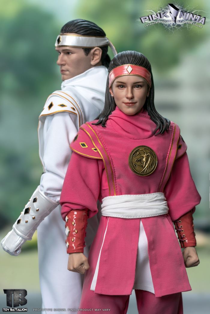 Pink Ninja 1/6