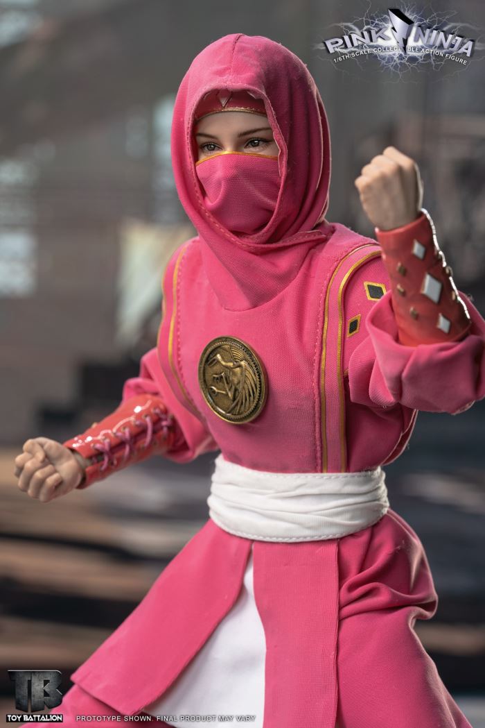 Pink Ninja 1/6