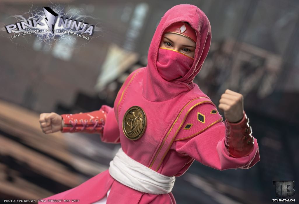 Pink Ninja 1/6