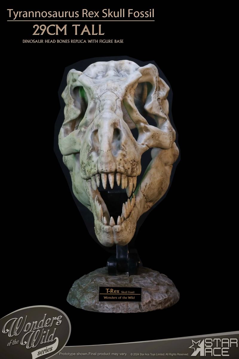 Wonder Wild Series Tyrannosaurus Rex Skull Fossil