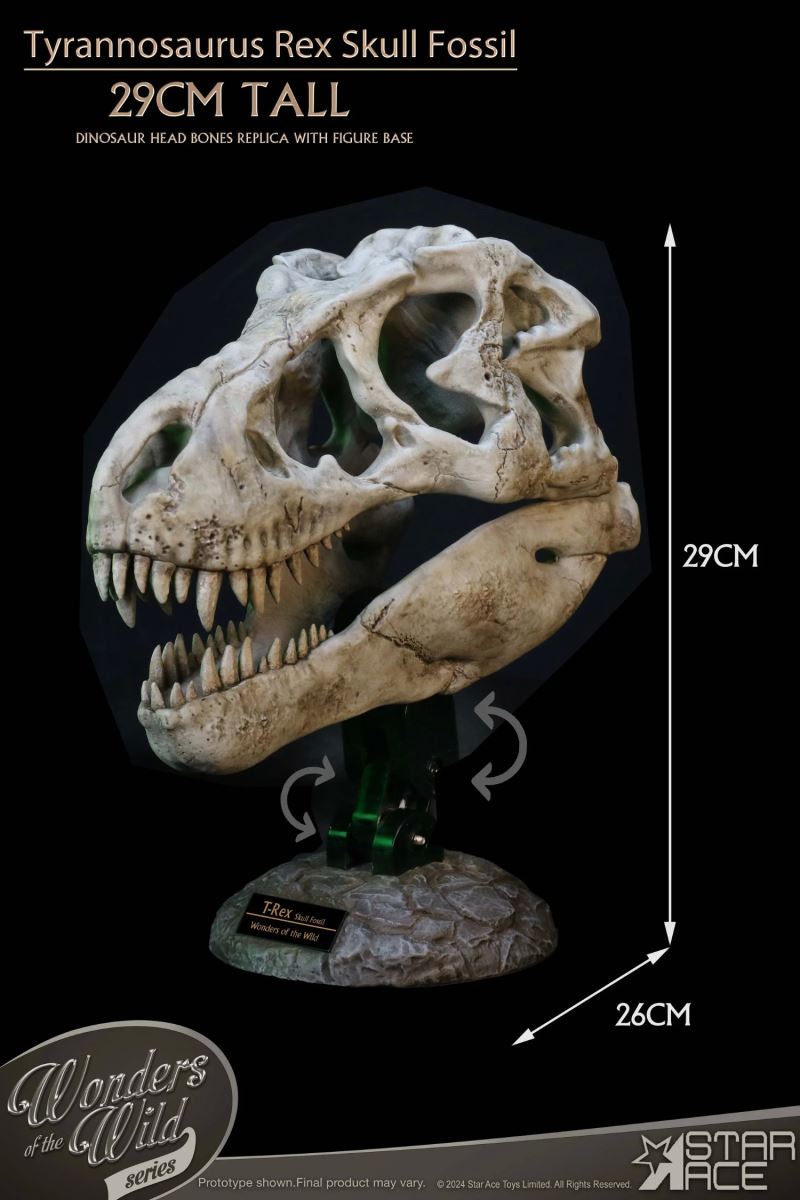Wonder Wild Series Tyrannosaurus Rex Skull Fossil