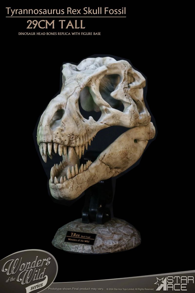 Wonder Wild Series Tyrannosaurus Rex Skull Fossil