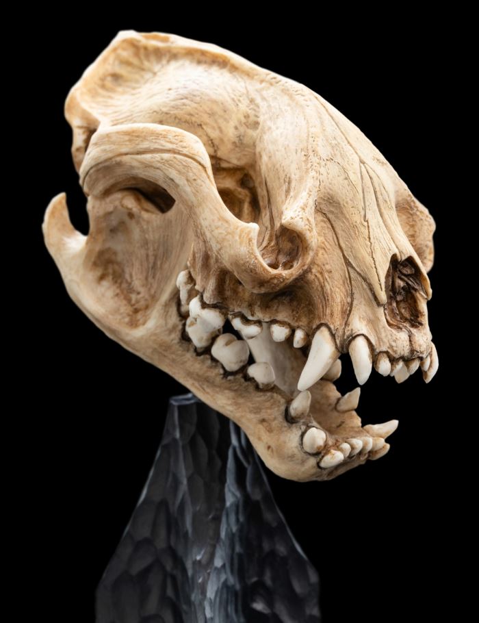 Miniature Skull SKULL OF A MORDOR ORC