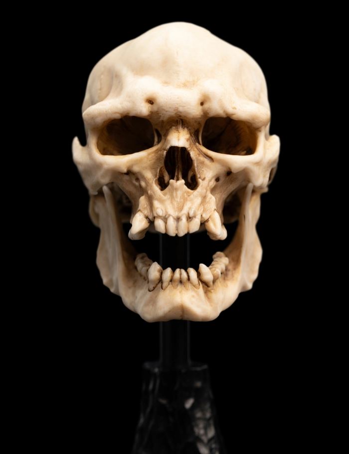 Miniature Skull SKULL OF A MORDOR ORC