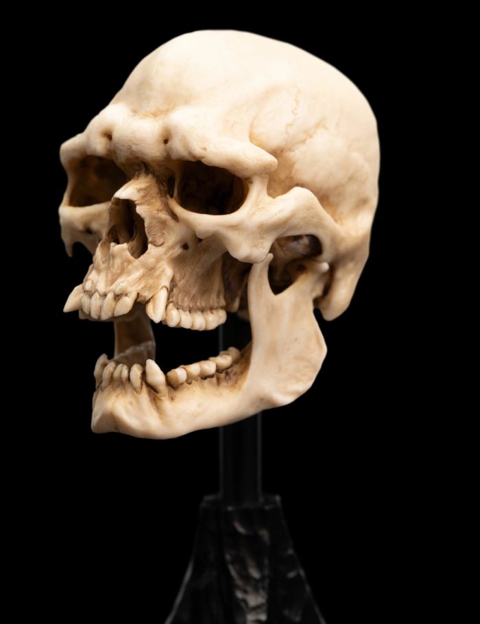 Miniature Skull SKULL OF A MORDOR ORC