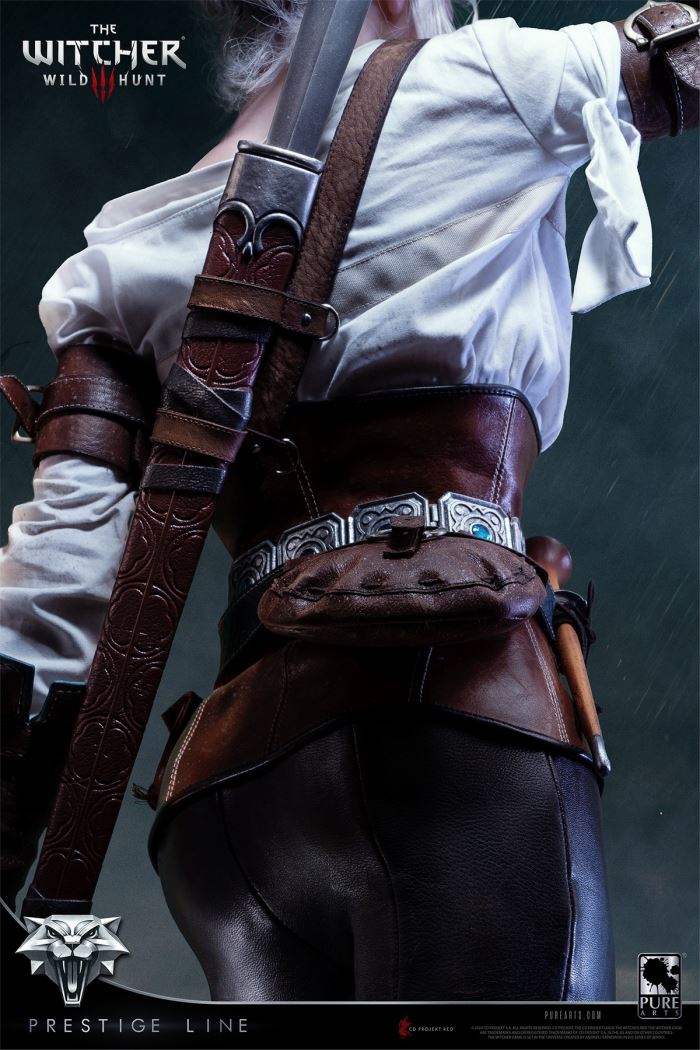 Ciri - The Witcher 3: Wild Hunt 1/2