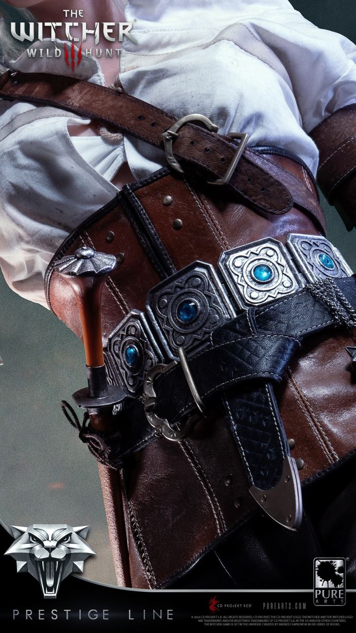 Ciri - The Witcher 3: Wild Hunt 1/2