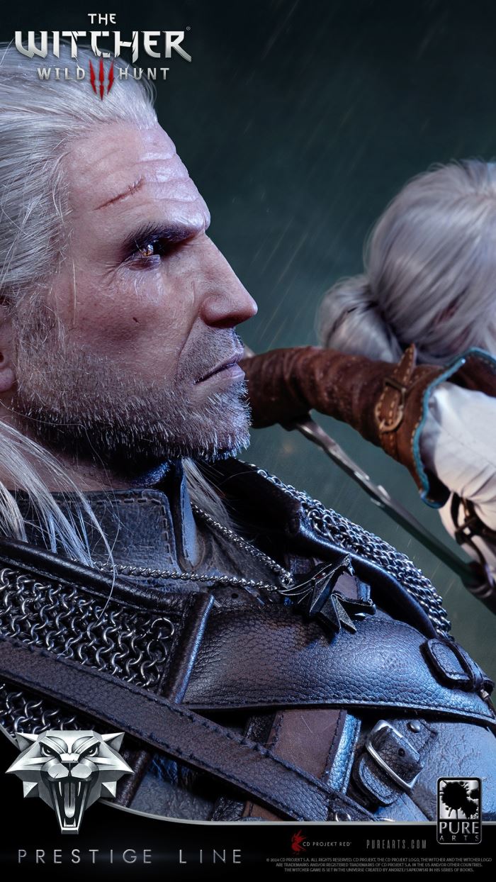 Ciri - The Witcher 3: Wild Hunt 1/2