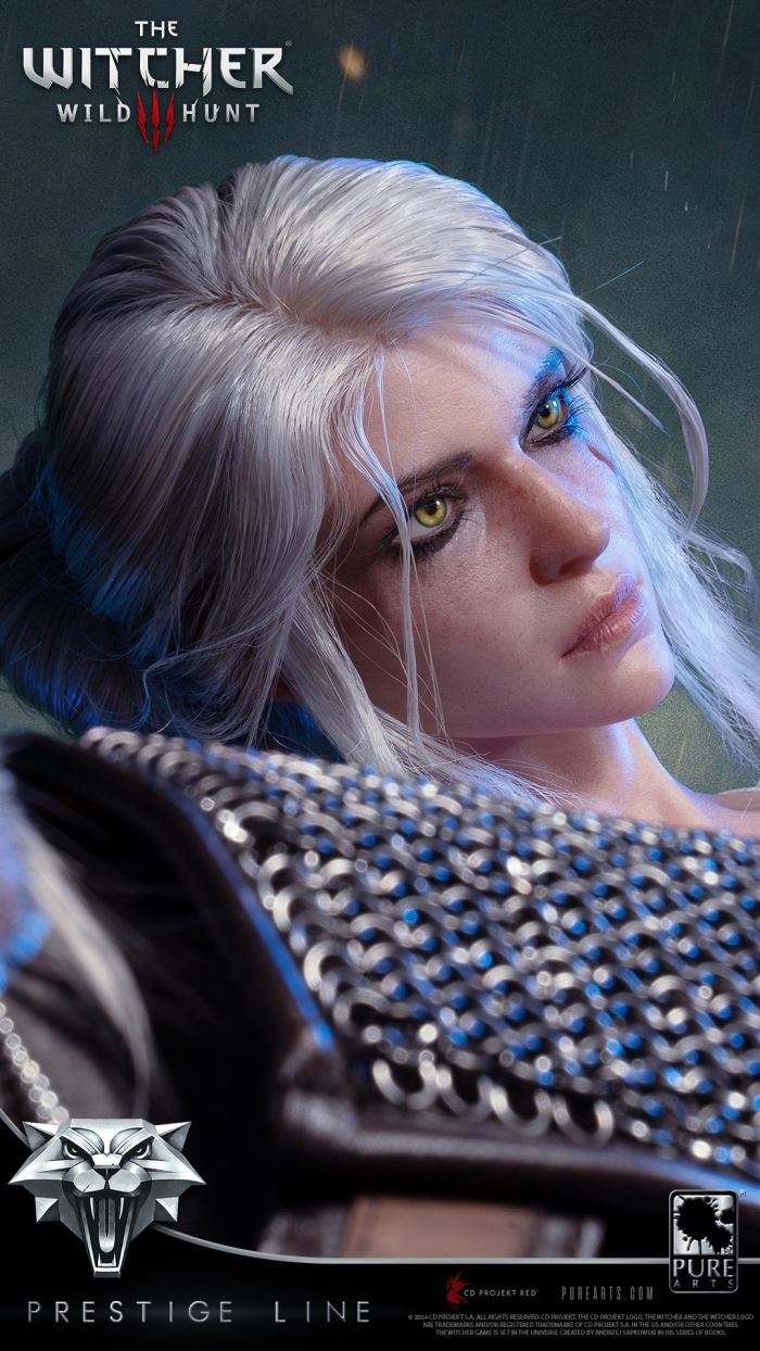Ciri - The Witcher 3: Wild Hunt 1/2