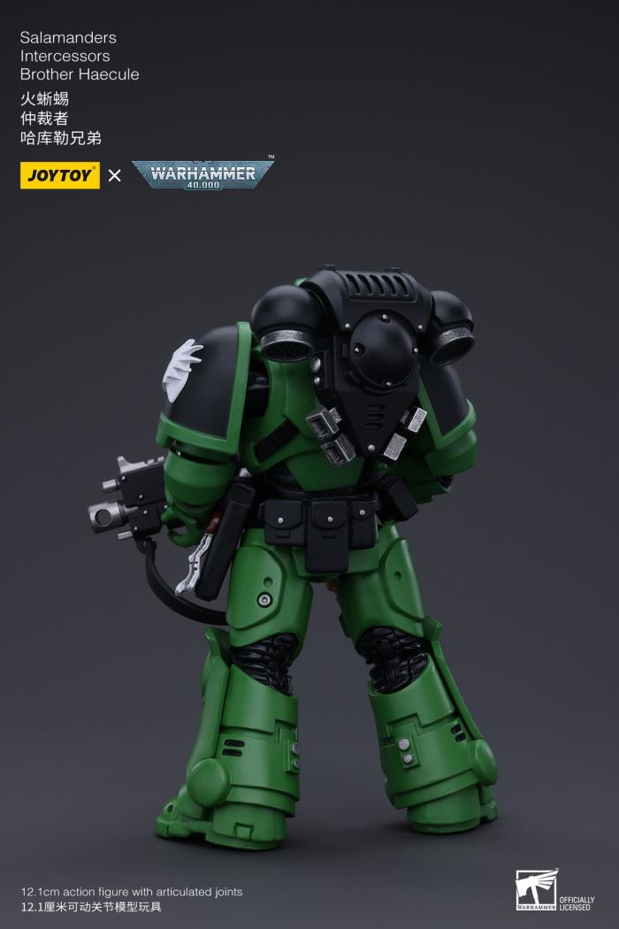 Space Marine Motor Guard / Watus / Cartnos / Salamander Harkule / Zakgan 1/18