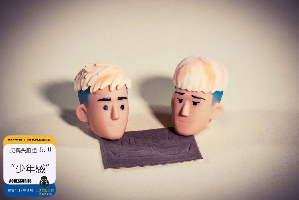 Fashion doll set 1/6