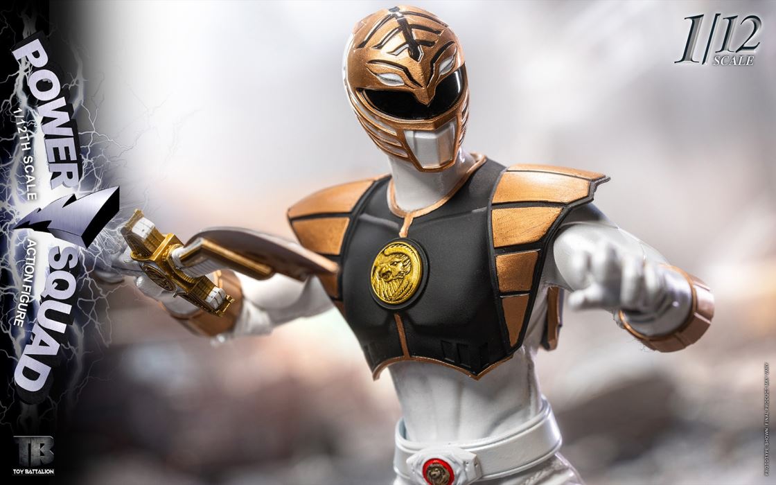 Power Squad Energy Team 1/12