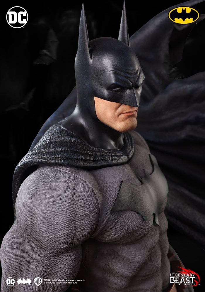 BATMAN: PREMIER EDITION BLUE/GRAY VARIANT 1/3