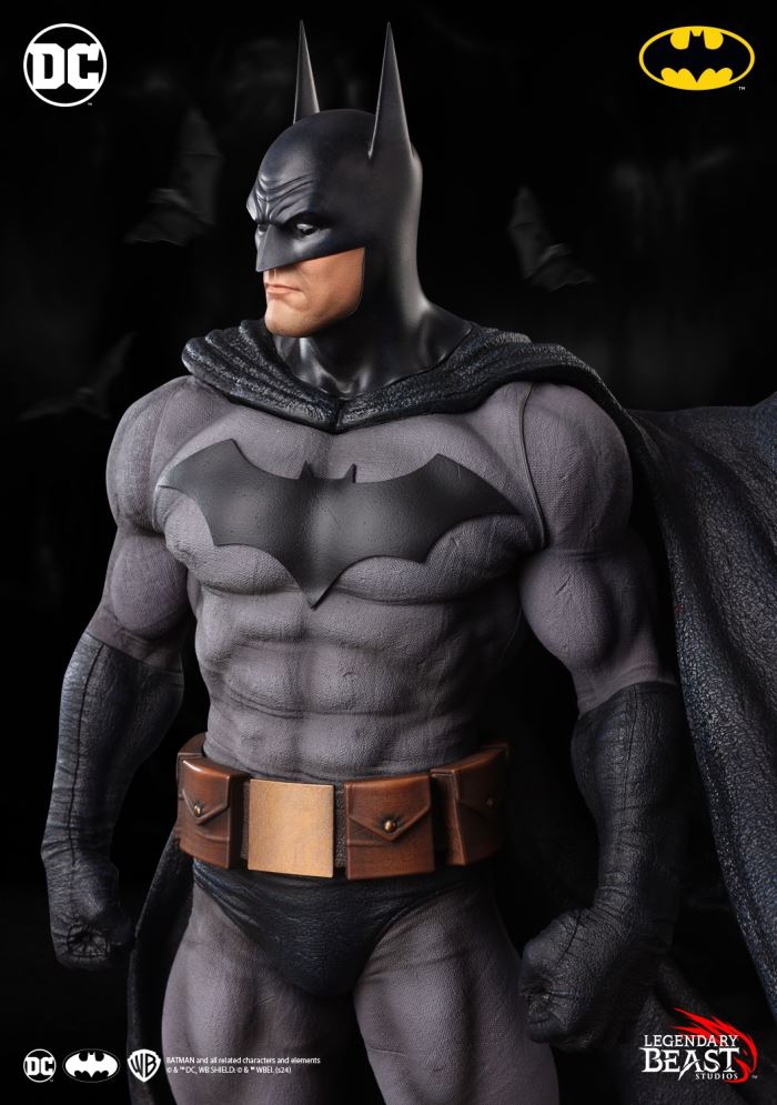 BATMAN: PREMIER EDITION BLUE/GRAY VARIANT 1/3