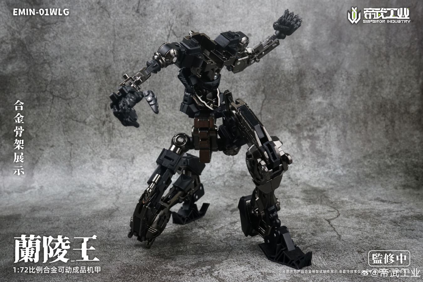 Lanling Wang EMIN01 WLG