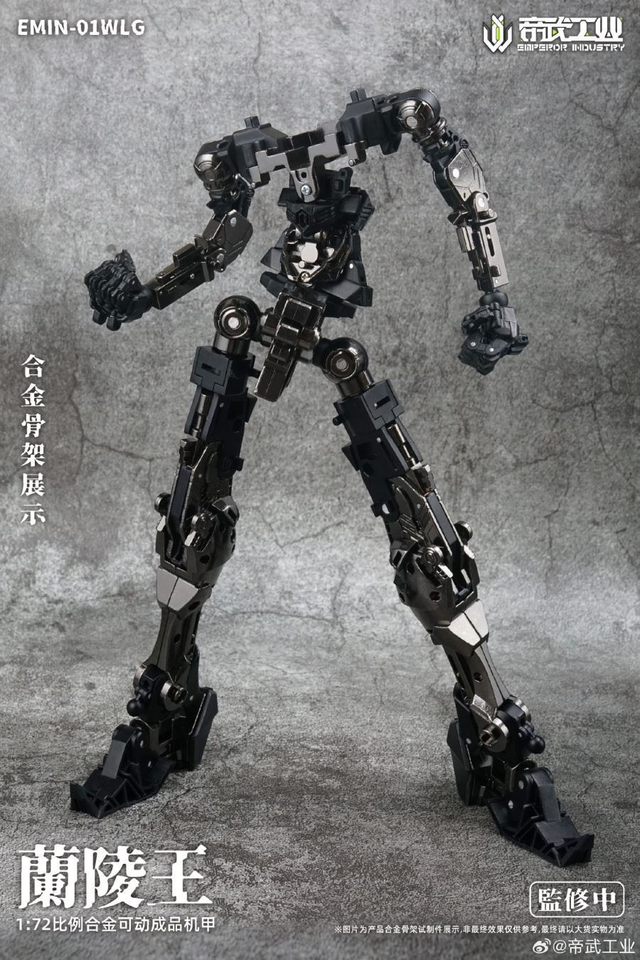 Lanling Wang EMIN01 WLG