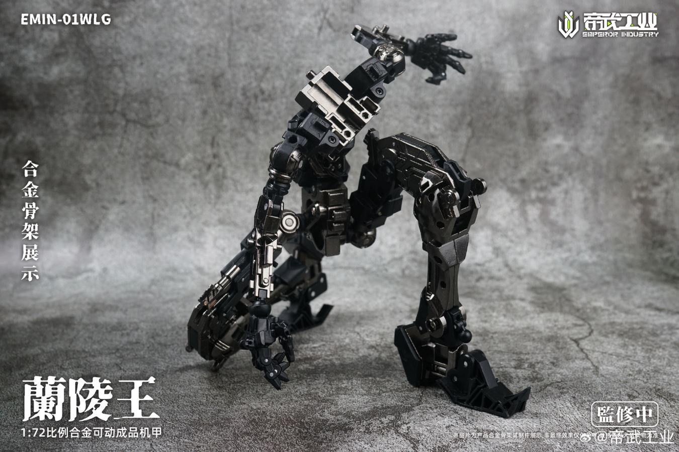 Lanling Wang EMIN01 WLG