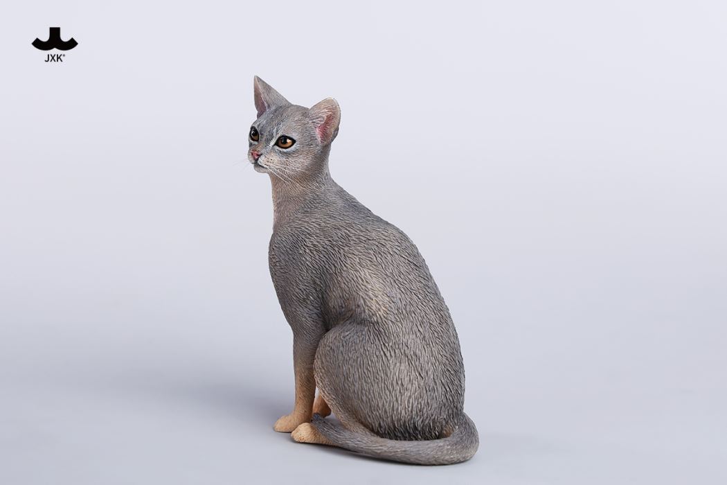 Abyssinian Cat 1/6