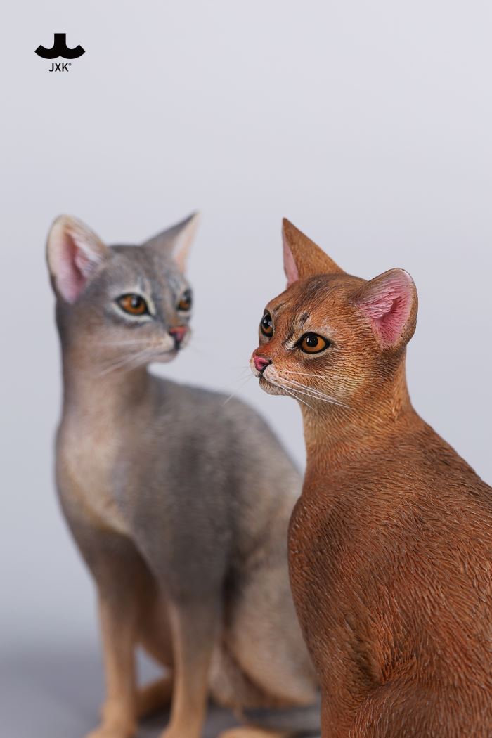 Abyssinian Cat 1/6