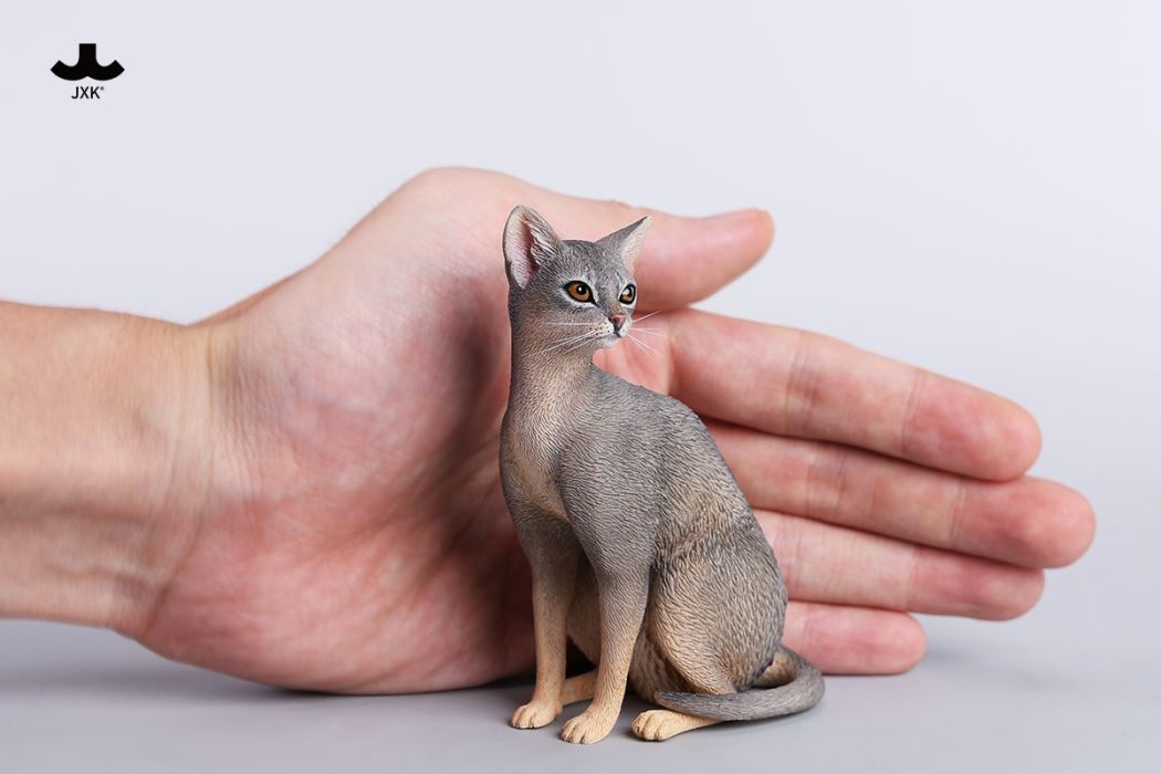 Abyssinian Cat 1/6