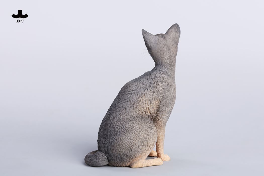 Abyssinian Cat 1/6