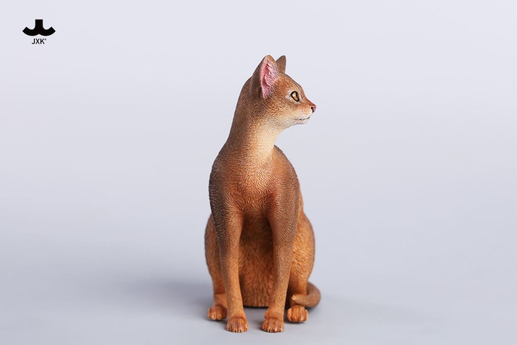 Abyssinian Cat 1/6