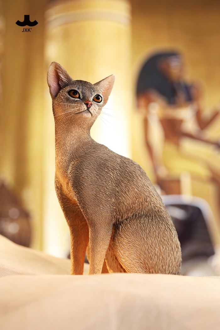 Abyssinian Cat 1/6
