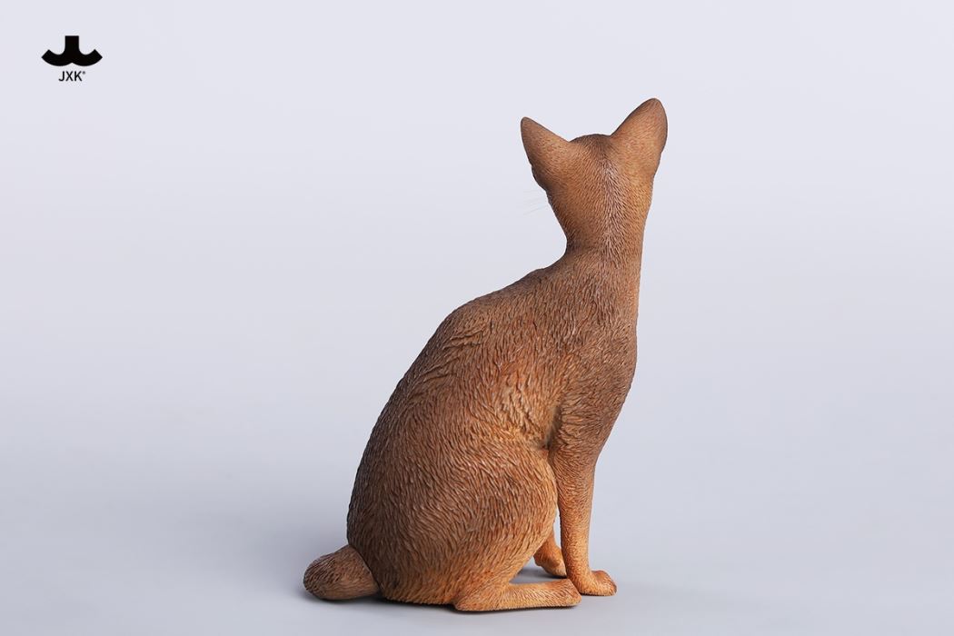 Abyssinian Cat 1/6