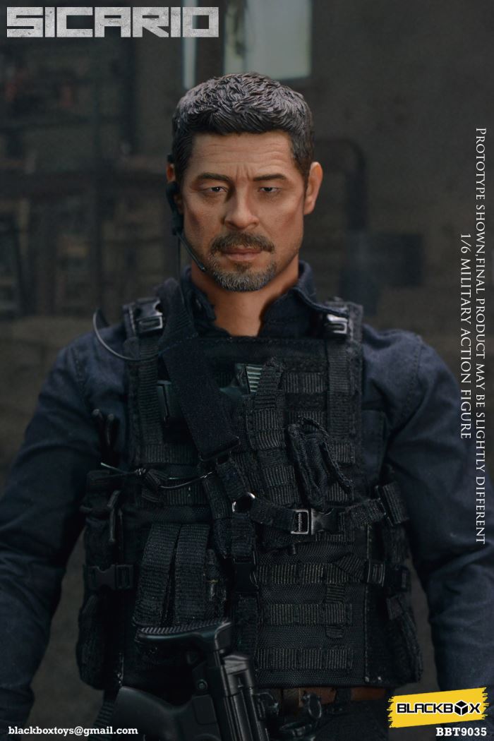 Sicario 1/6