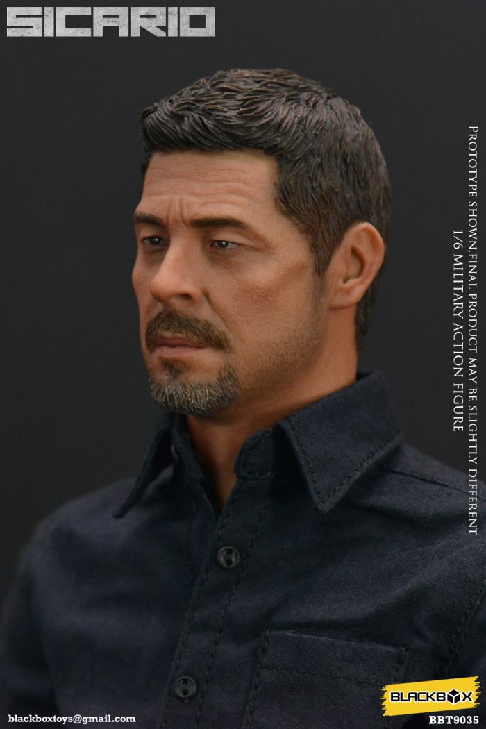 Sicario 1/6