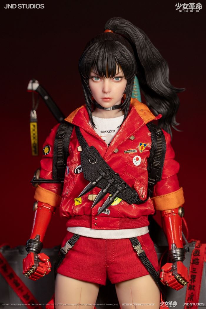 HIKARU (Collector’s Edition) of Girls’ Revolution 1/6
