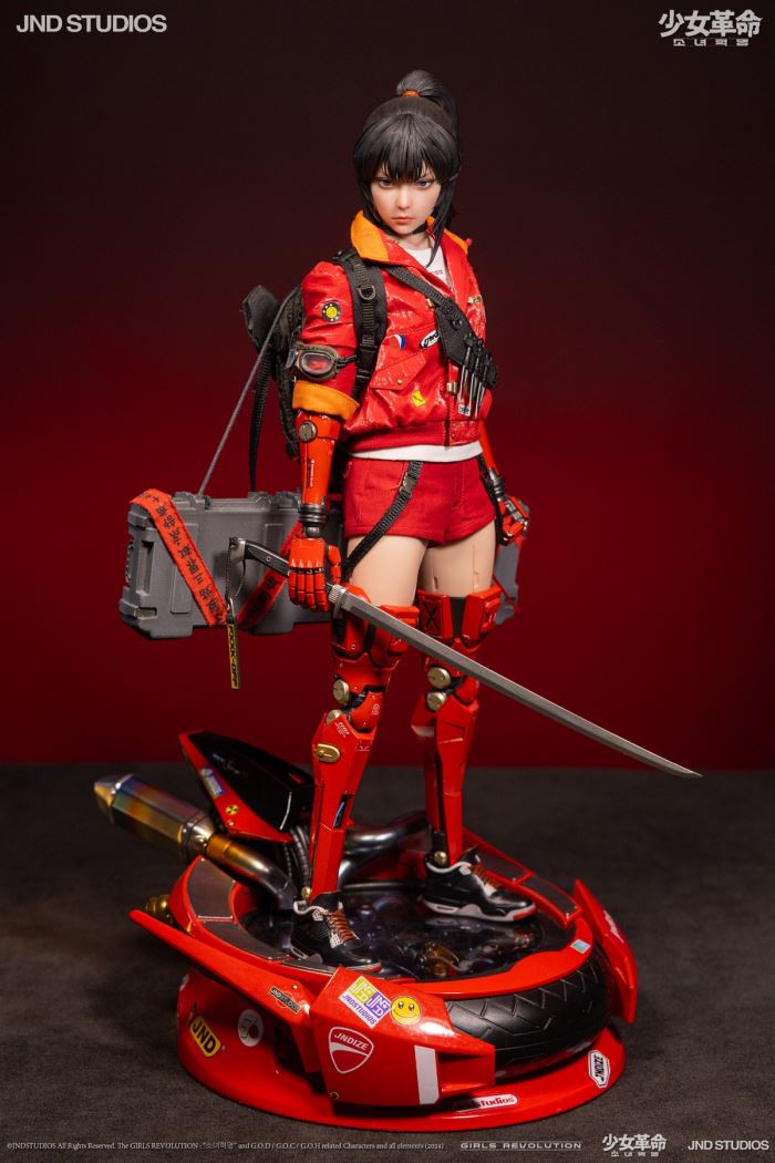 HIKARU (Collector’s Edition) of Girls’ Revolution 1/6