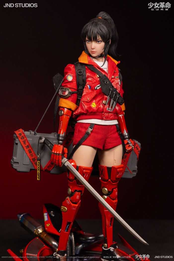 HIKARU (Collector’s Edition) of Girls’ Revolution 1/6