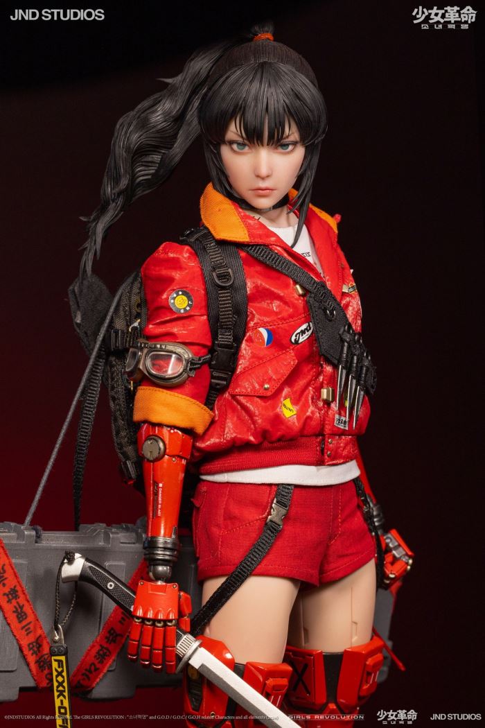 HIKARU (Collector’s Edition) of Girls’ Revolution 1/6