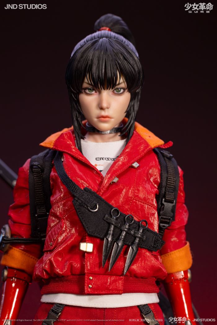 HIKARU (Collector’s Edition) of Girls’ Revolution 1/6