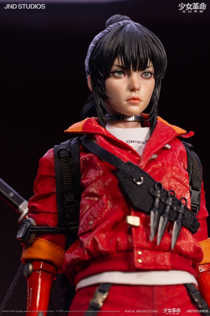 HIKARU (Collector’s Edition) of Girls’ Revolution 1/6