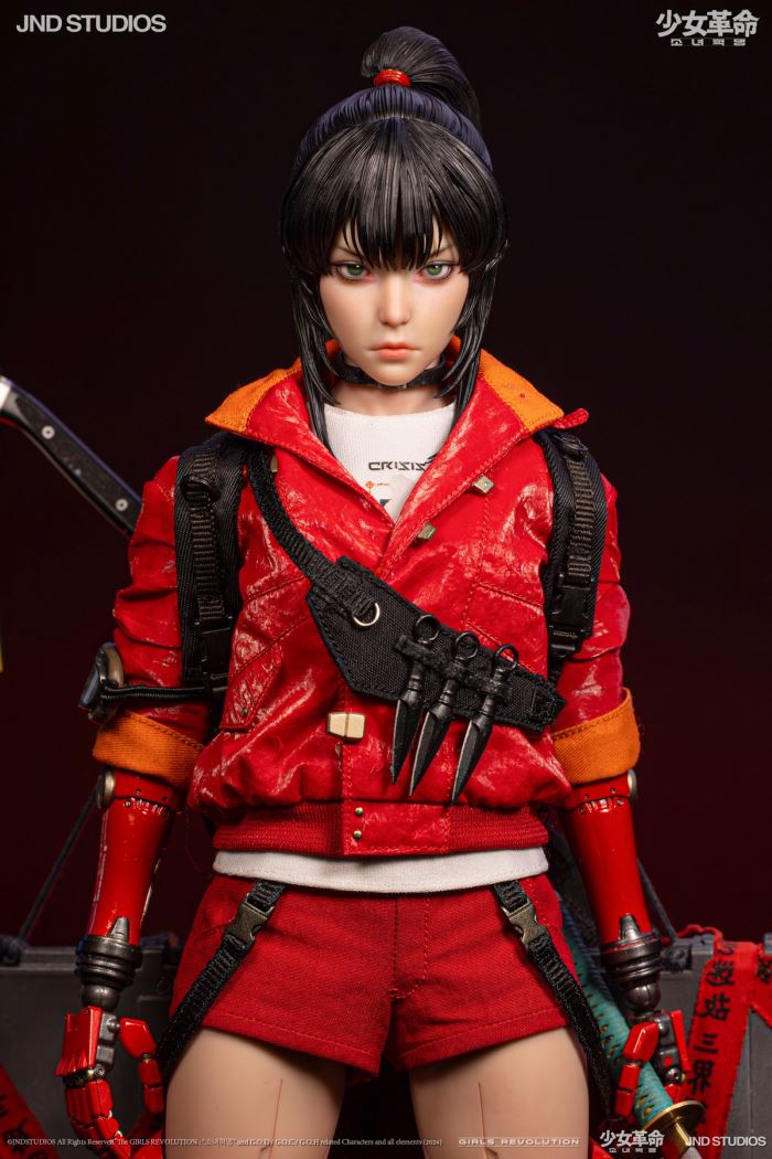 HIKARU (Collector’s Edition) of Girls’ Revolution 1/6